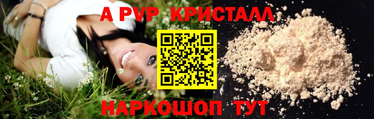 А ПВП СК КРИС Удомля